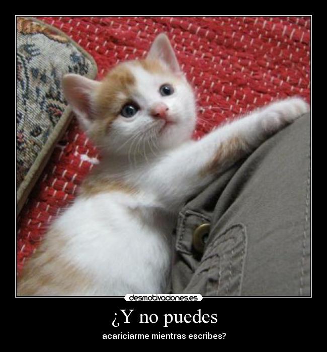 ¿Y no puedes - acariciarme mientras escribes?