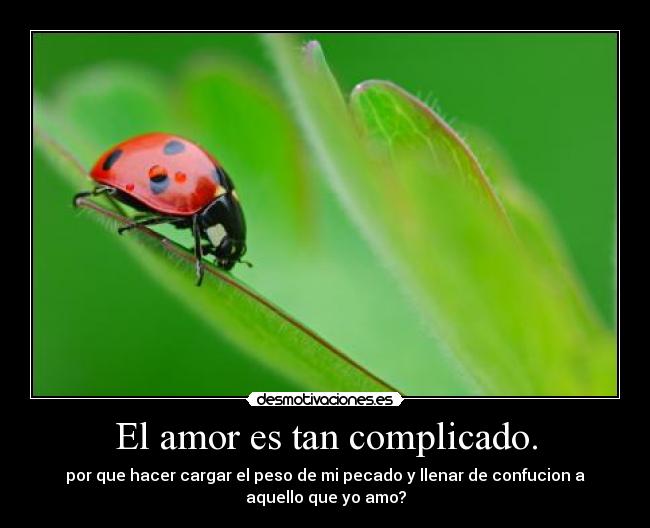 El amor es tan complicado. - 