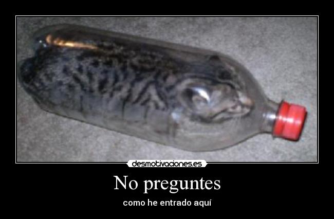 carteles esta imagen tiene ninguna explicacion logica desmotivaciones