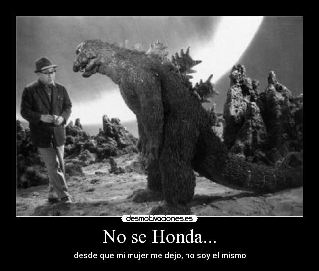No se Honda... - desde que mi mujer me dejo, no soy el mismo