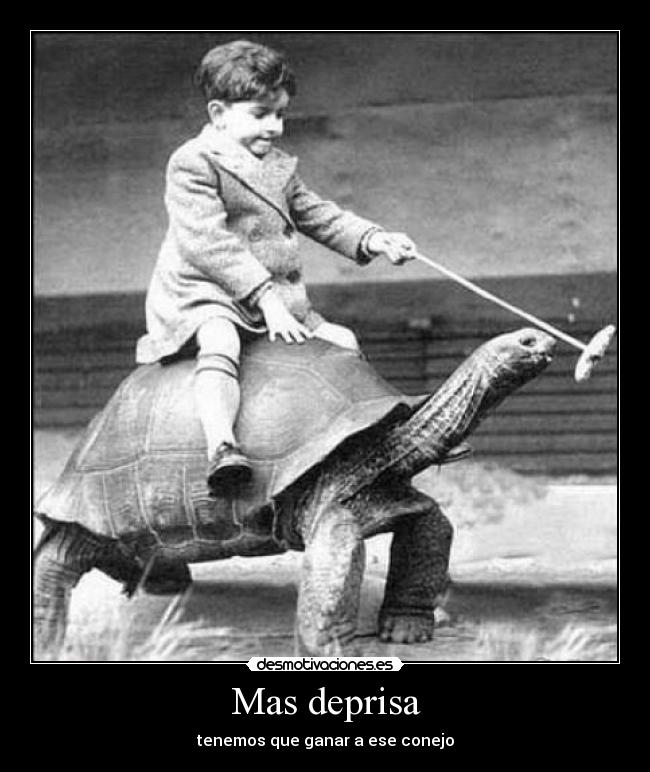 Mas deprisa - tenemos que ganar a ese conejo