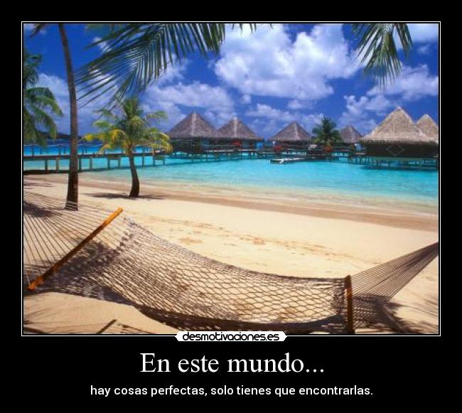 En este mundo... - hay cosas perfectas, solo tienes que encontrarlas.