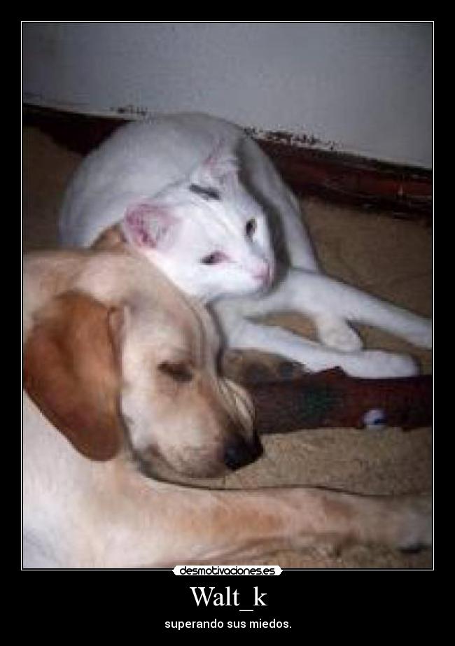 Walt_k - superando sus miedos.