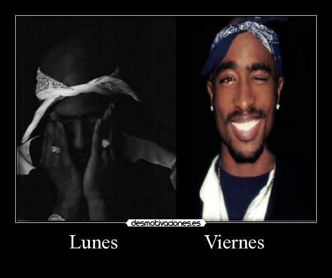 Lunes                 Viernes - 