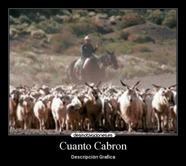 Cuanto Cabron -