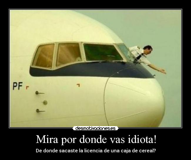 Mira por donde vas idiota! - De donde sacaste la licencia de una caja de cereal?