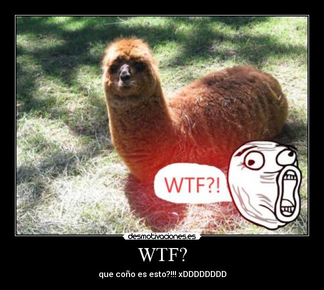 WTF? - que coño es esto?!!! xDDDDDDDD