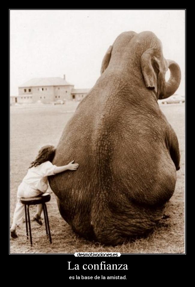 La confianza - es la base de la amistad.