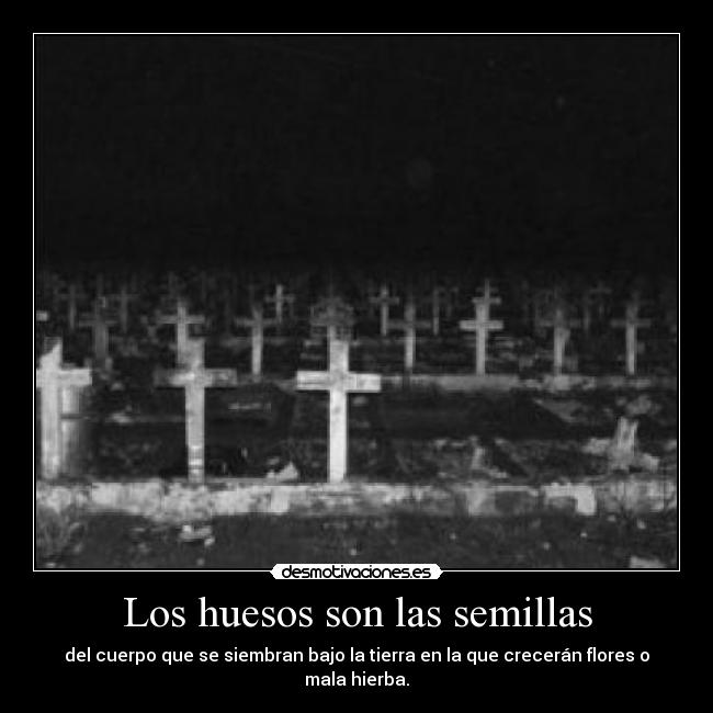 carteles fuckingtastic die die die darling desmotivaciones