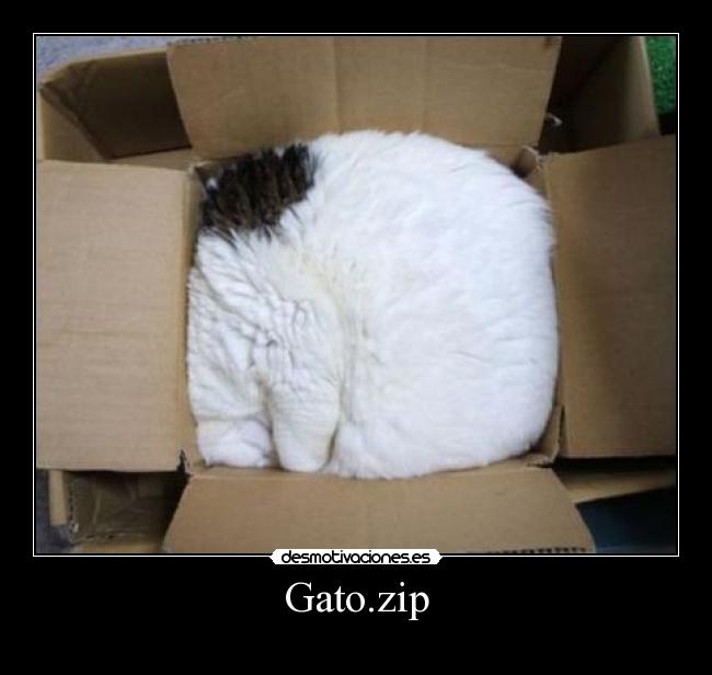Gato.zip -