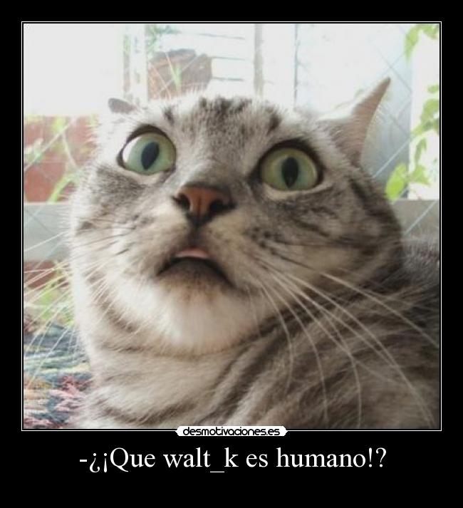 -¿¡Que walt_k es humano!? - 