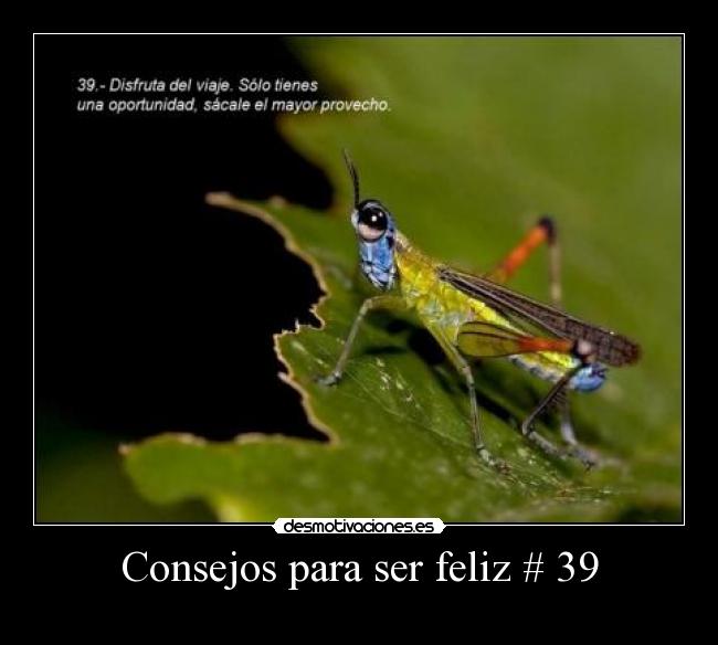 carteles fefeeeweweewewewew desmotivaciones