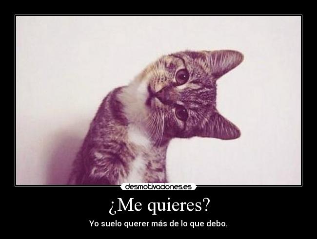 ¿Me quieres? - 