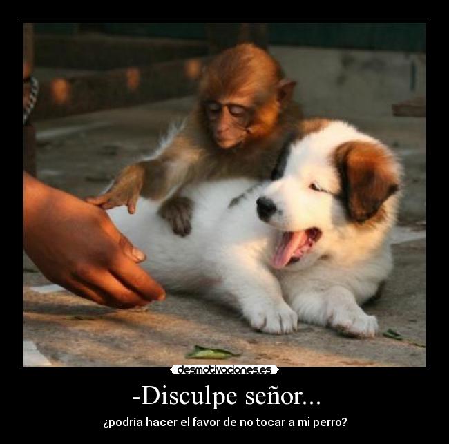-Disculpe señor... - ¿podría hacer el favor de no tocar a mi perro?