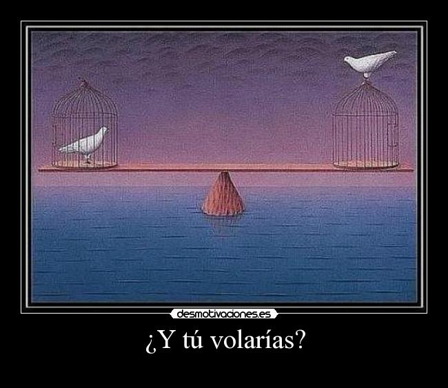 ¿Y tú volarías? -