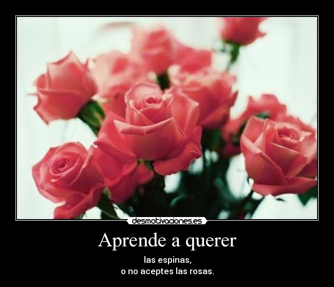 Aprende a querer -