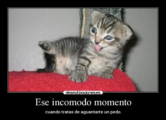 Ese incomodo momento - cuando tratas de aguantarte un pedo.