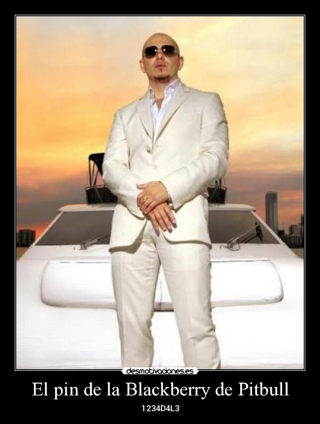 El pin de la Blackberry de Pitbull - 