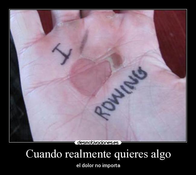 carteles remo deporte desmotivaciones