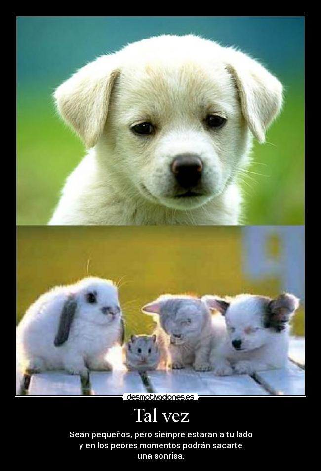 carteles xdd desmotivaciones