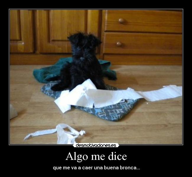 carteles animales desmotivaciones