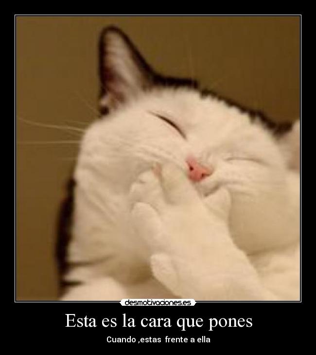 Esta es la cara que pones - 