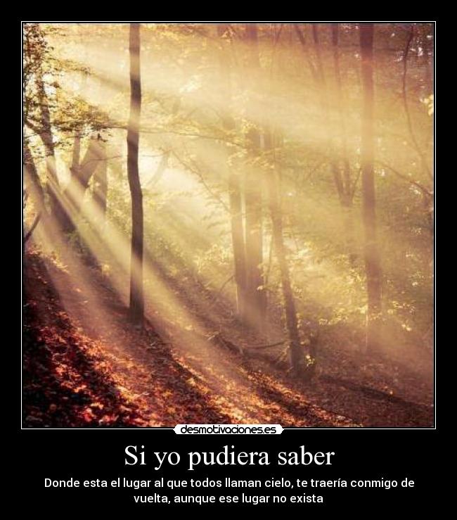 Si yo pudiera saber - Donde esta el lugar al que todos llaman cielo, te traería conmigo de
vuelta, aunque ese lugar no exista