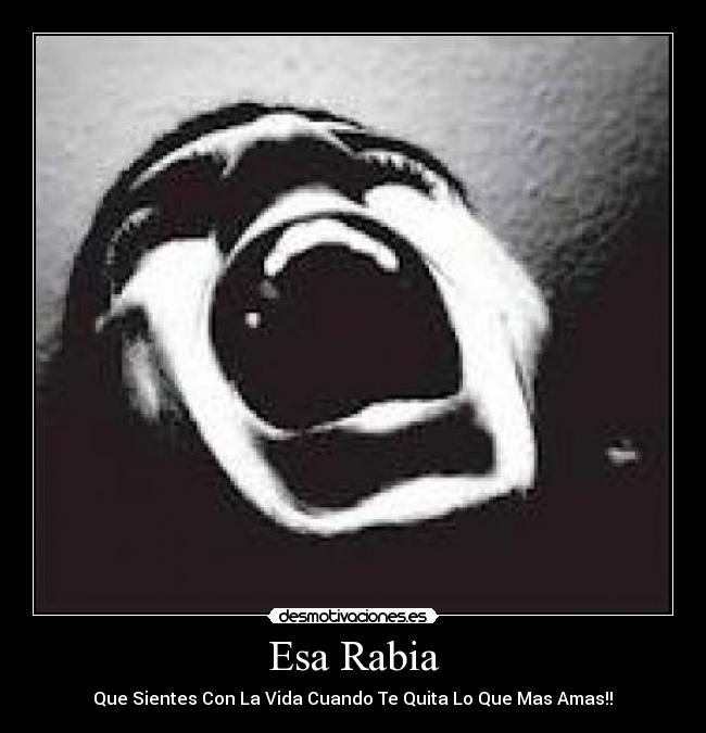 Esa Rabia -