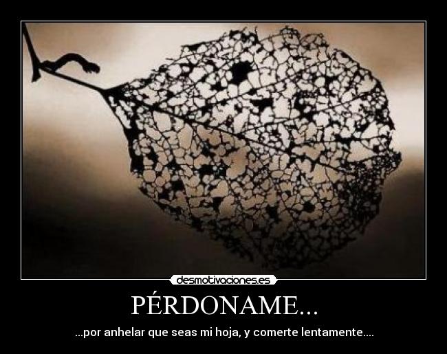 carteles perdoname desmotivaciones