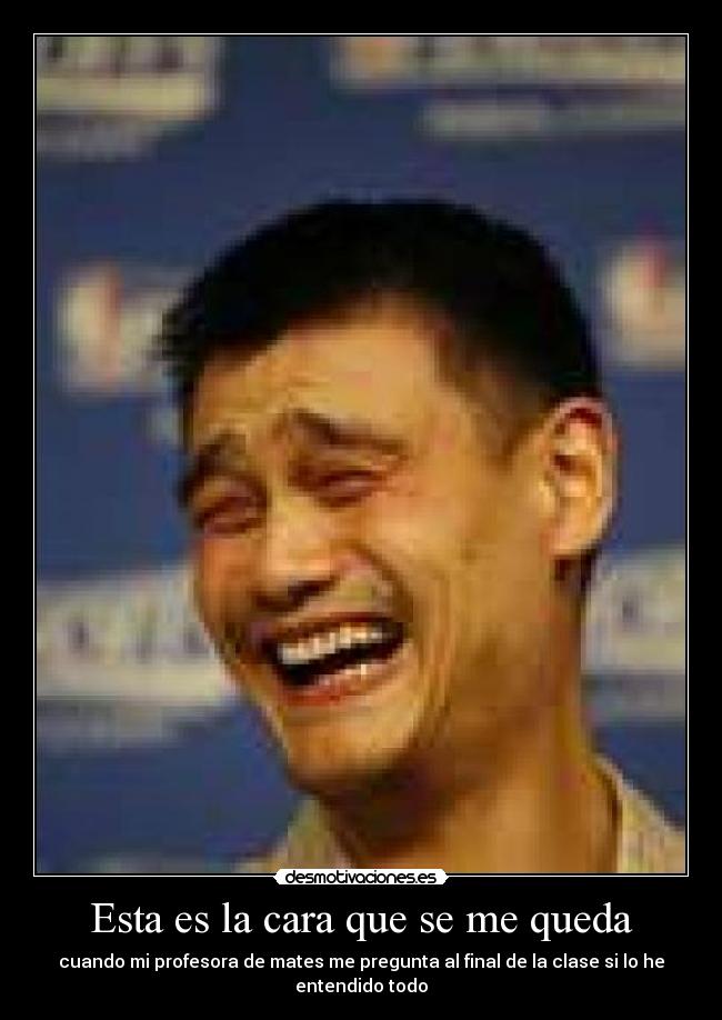 Esta es la cara que se me queda - cuando mi profesora de mates me pregunta al final de la clase si lo he entendido todo