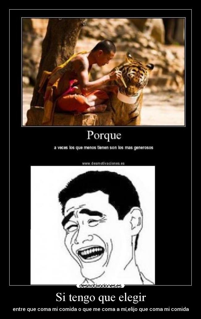 Si tengo que elegir - entre que coma mi comida o que me coma a mí,elijo que coma mi comida
