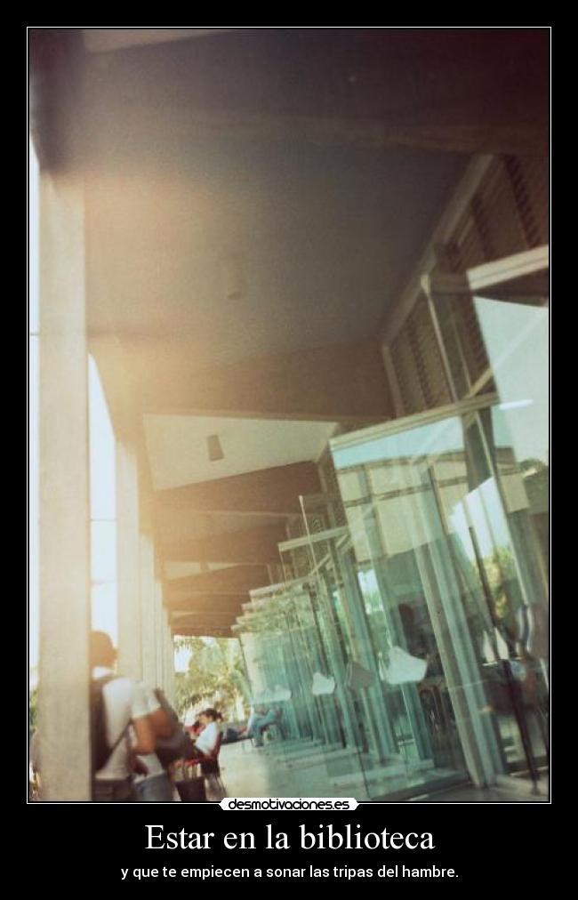 Estar en la biblioteca -