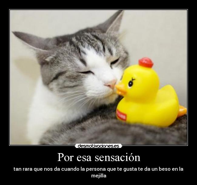 Por esa sensación - tan rara que nos da cuando la persona que te gusta te da un beso en la mejilla