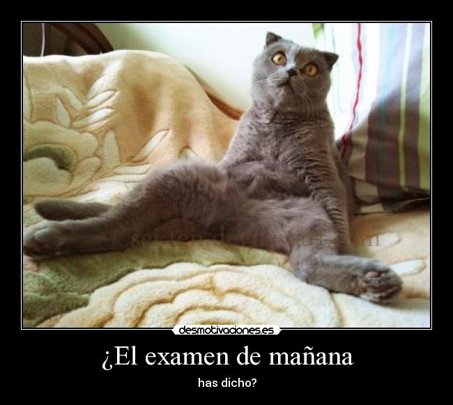 ¿El examen de mañana -