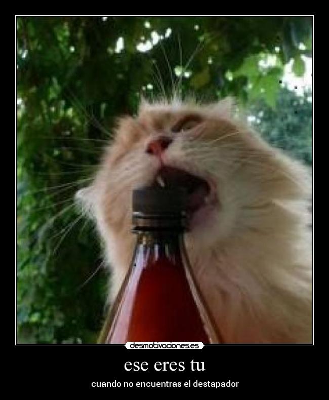 ese eres tu - cuando no encuentras el destapador