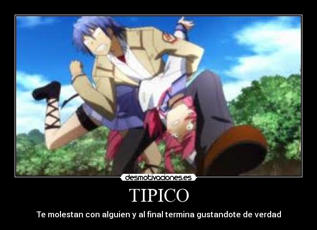 TIPICO - 