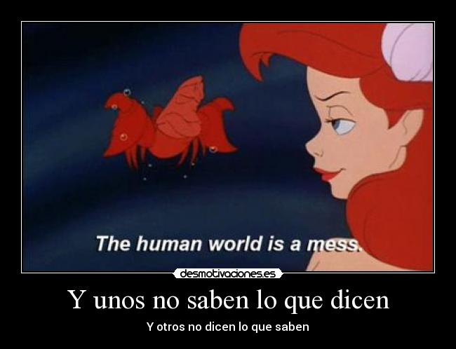 Y unos no saben lo que dicen - 