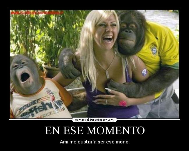 EN ESE MOMENTO - Ami me gustaría ser ese mono.