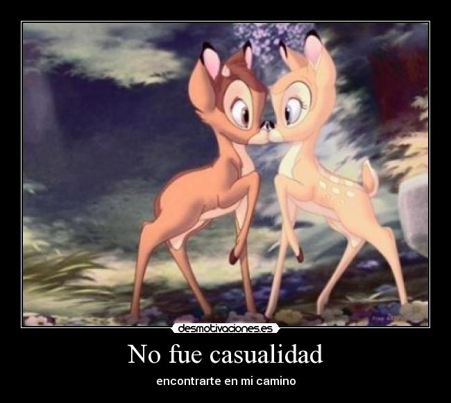 No fue casualidad -