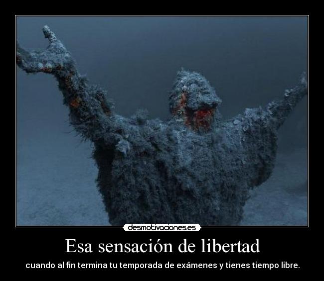 carteles libertad goddddd hoy hecho ultimo examen economia ehheheh desmotivaciones