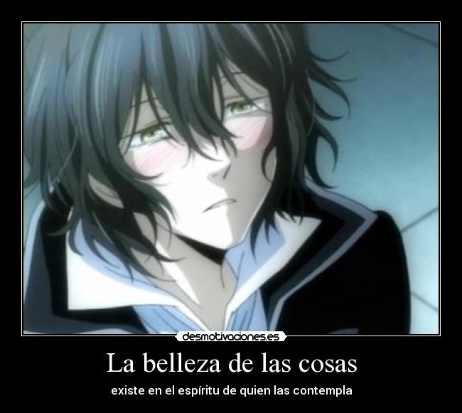 La belleza de las cosas -