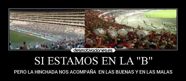 carteles america desmotivaciones