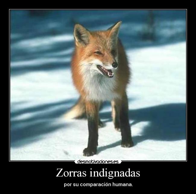 Zorras indignadas - 