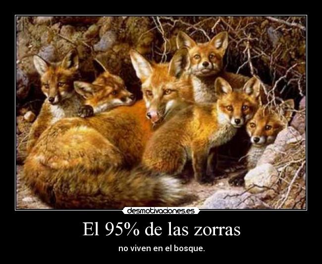 El 95% de las zorras - 