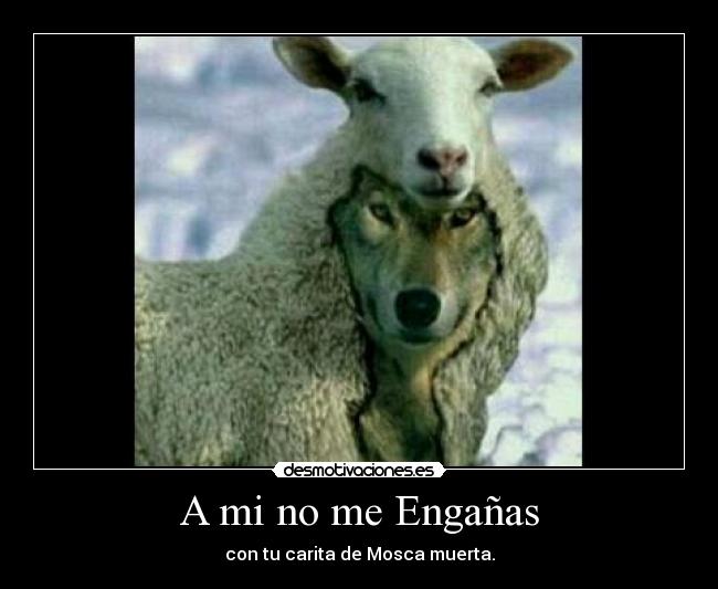 carteles cara zorra desmotivaciones