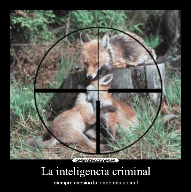 La inteligencia criminal -