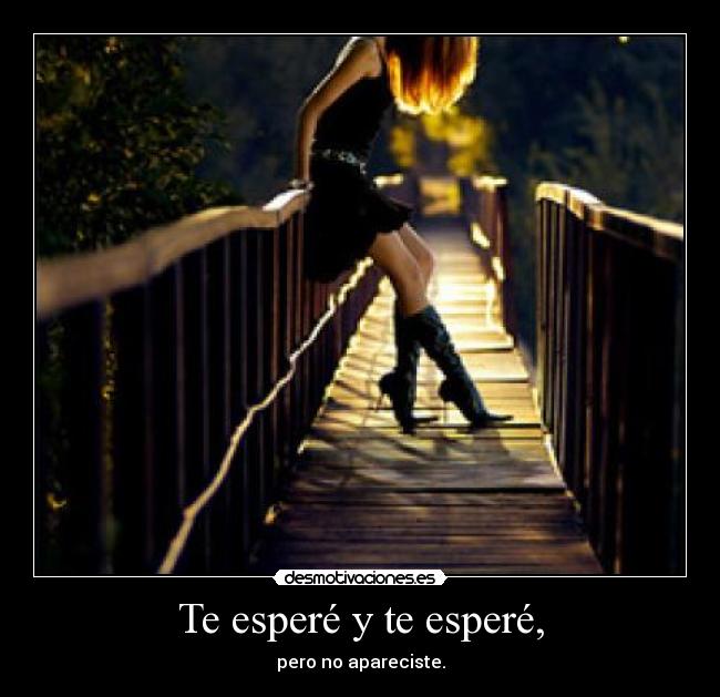 Te esperé y te esperé, - pero no apareciste.