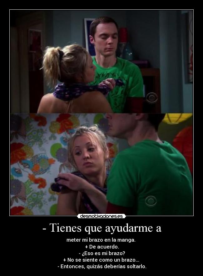 carteles xoxoxoxox princesachicle bazzinga sheldon realidad hacia posta desmotivaciones