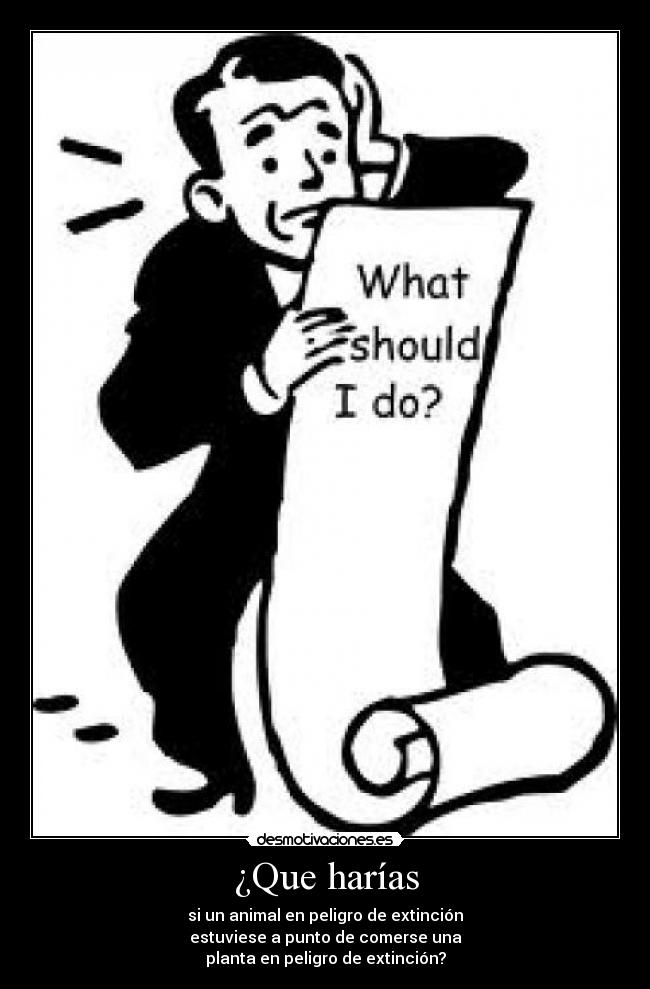 carteles dilema desmotivaciones