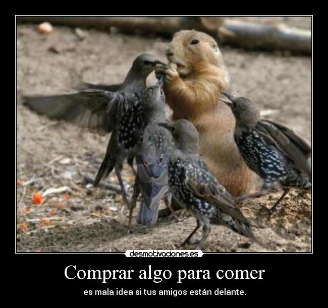 Comprar algo para comer -